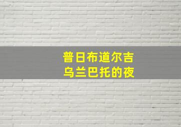 普日布道尔吉 乌兰巴托的夜